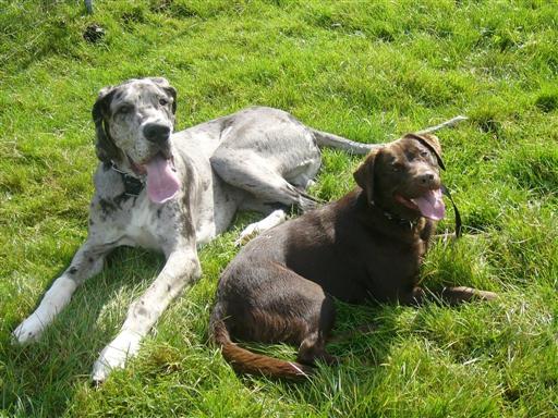 Grey & Emma