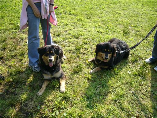 Lucky & Emma