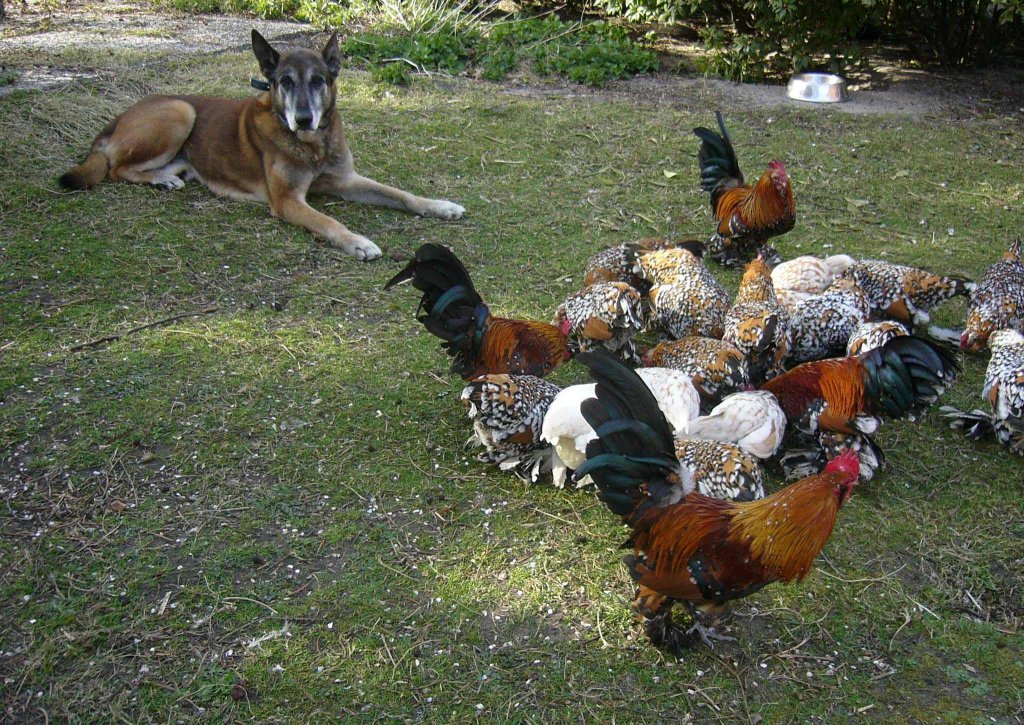 371