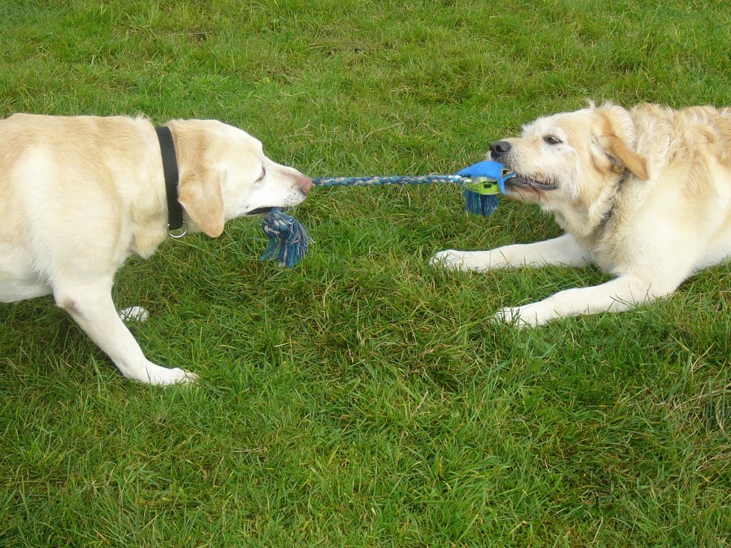 Brisco & Benny