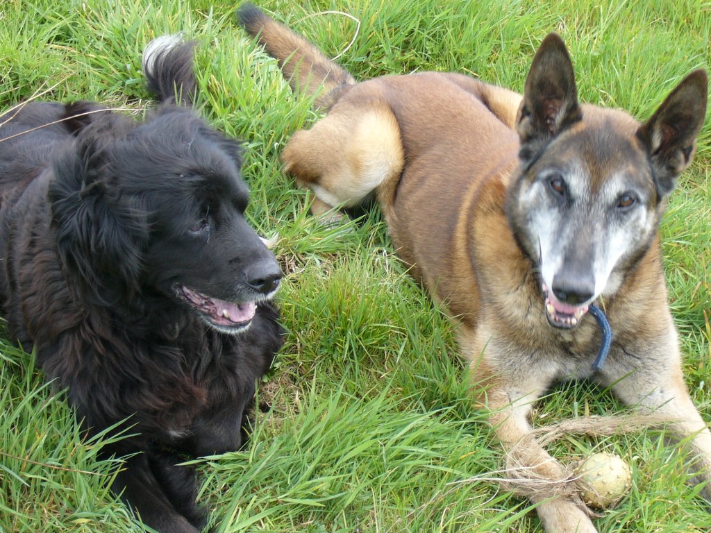 Dusty & Lotta