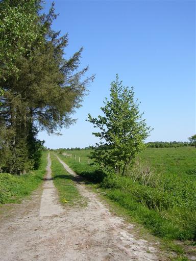 Umgebung